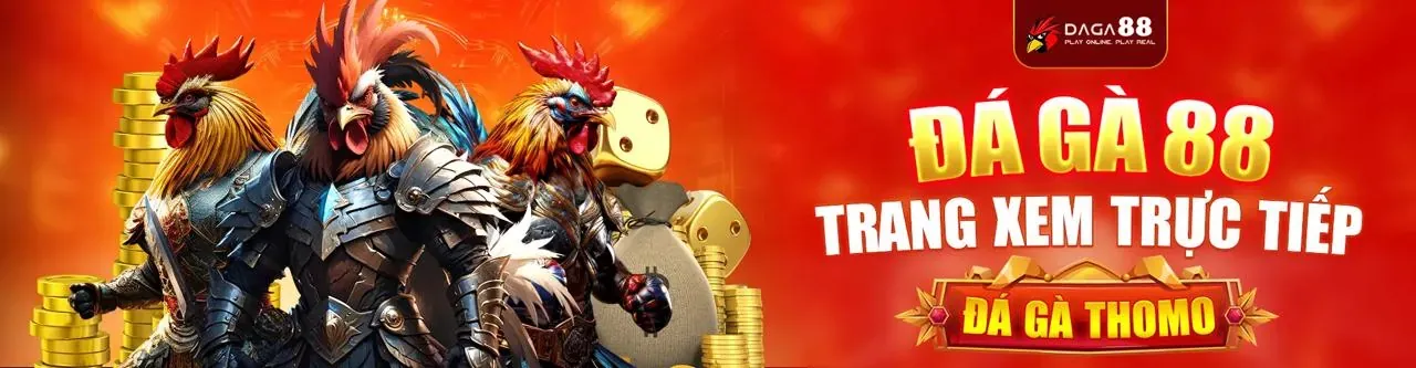 Đá Gà Trực Tiếp SX666